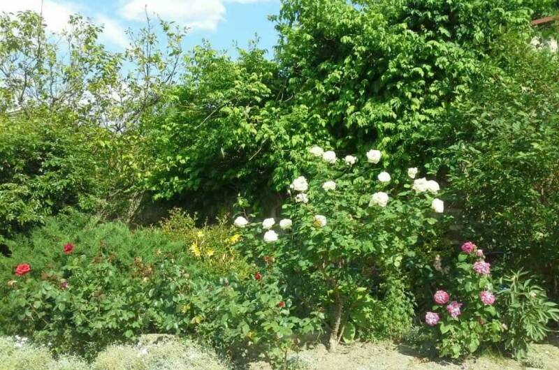 Изображение Изображение гостиницы &quot;Усадьба «Лукоморье»&quot; #5 #5