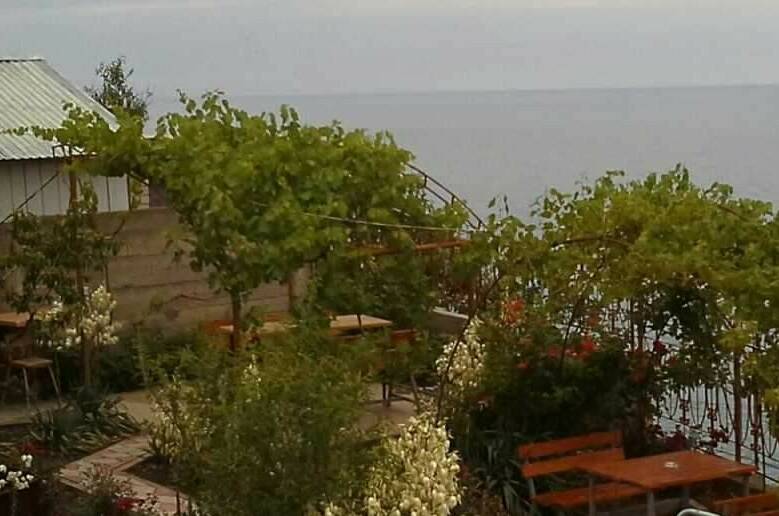 Изображение Изображение отеля / гостиницы "Усадьба «Лукоморье»" #11 #9