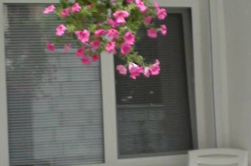 Изображение Изображение квартиры &quot;2-х комнатная квартира&quot; #3 #3