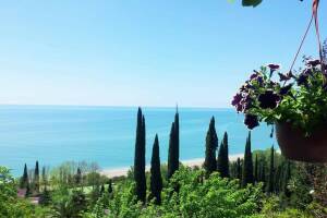 Изображение гостиницы "Частный сектор «У Ирины»"