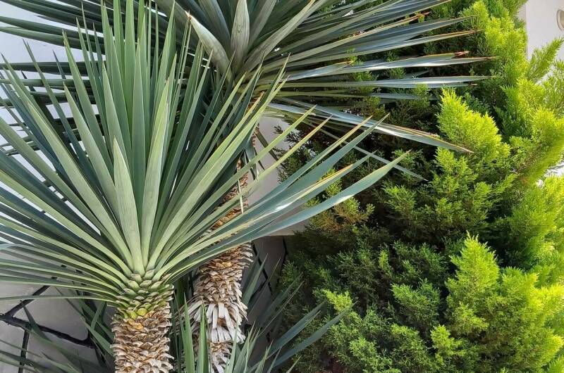 Изображение Изображение отеля / гостиницы "Гостевой дом «Гаро»" #11 #9