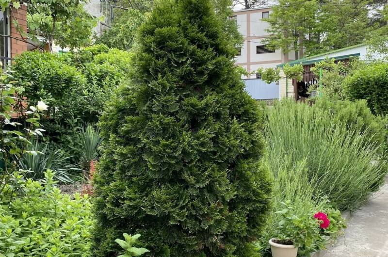 Изображение Изображение отеля / гостиницы "Гостевой дом «Надежда»" #11 #9