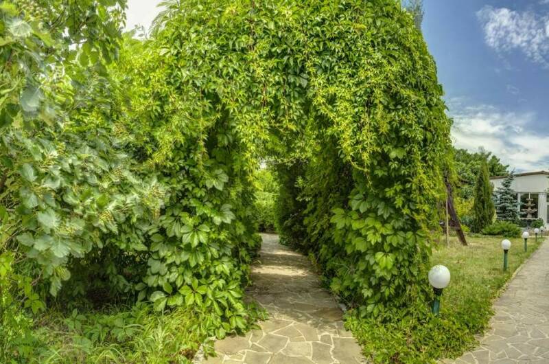 Изображение Изображение гостиницы &quot;Парк-Отель «Казантип Центр»&quot; #4 #4