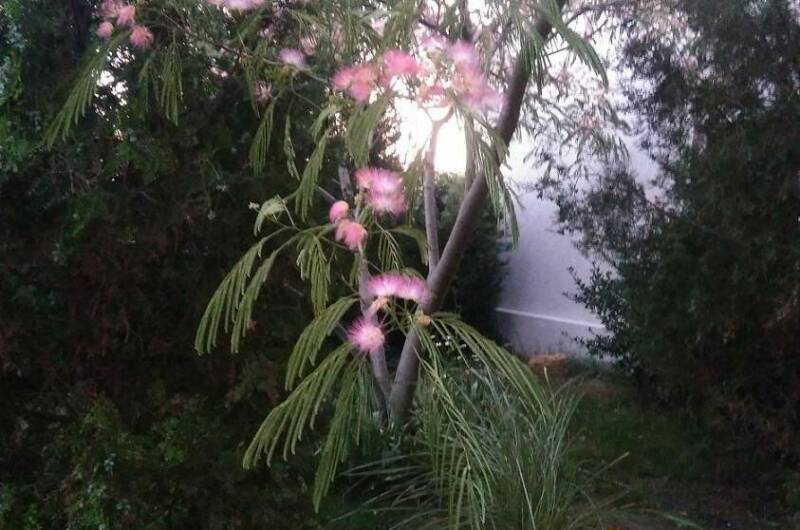 Изображение Изображение гостиницы &quot;Гостевой дом «Атлантика»&quot; #3 #3