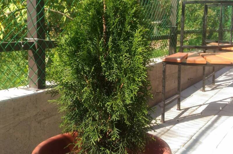 Изображение Изображение гостиницы "Гостевой дом «На берегу моря»" #5 #5