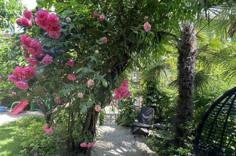 Изображение Изображение гостиницы &quot;Вилла «Гармония»&quot; #4 #4