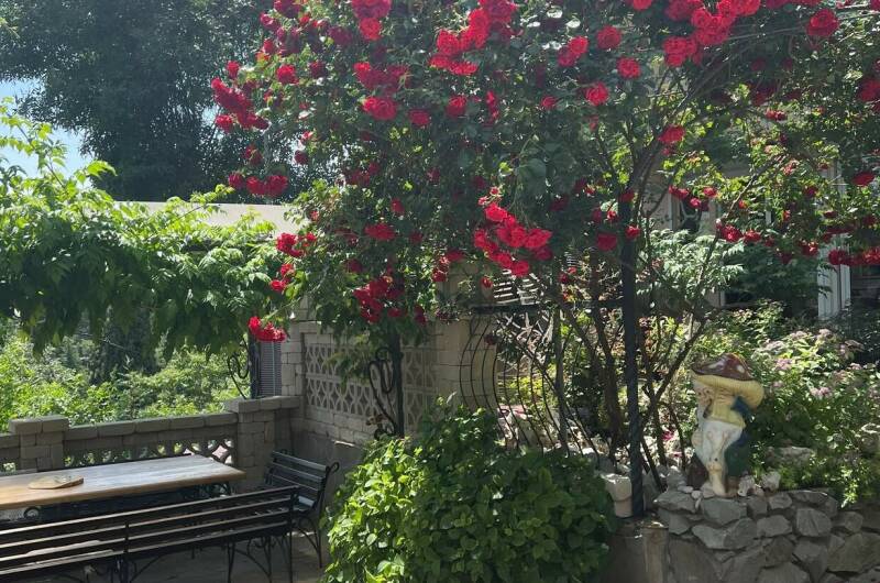 Изображение Изображение гостиницы &quot;Вилла «Гармония»&quot; #6 #6