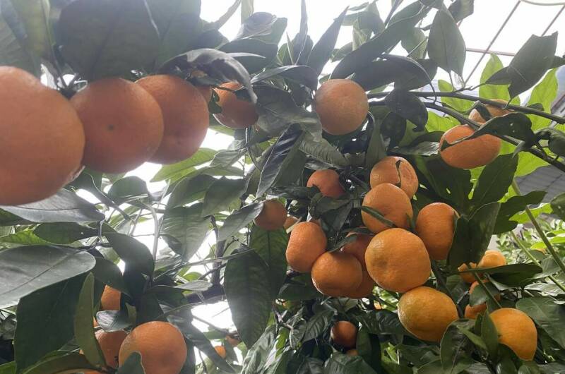 Изображение Изображение гостиницы &quot;Гостевой дом у моря&quot; #7 #7