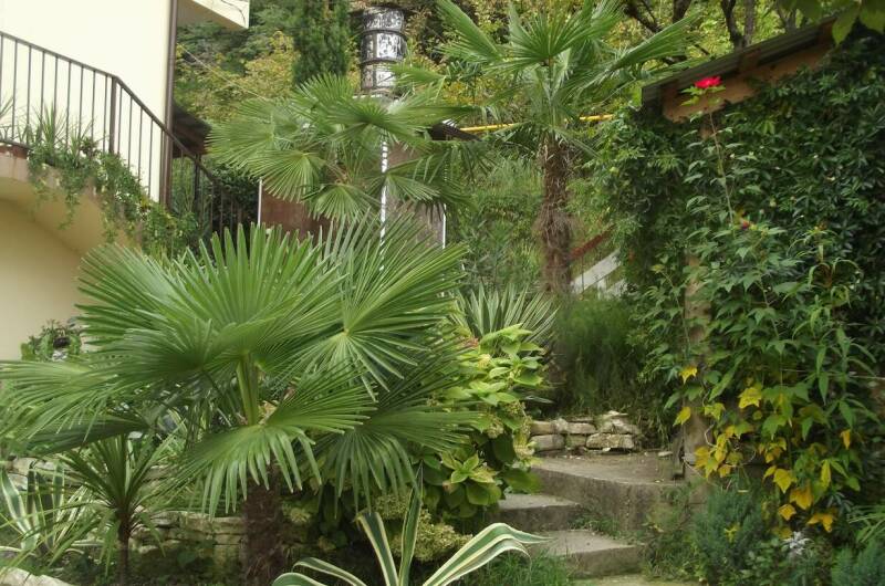 Изображение Изображение гостиницы &quot;Гостевой дом «У Ильгиза»&quot; #5 #5