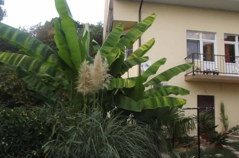 Изображение Изображение отеля / гостиницы "Гостевой дом «У Ильгиза»" #10 #8