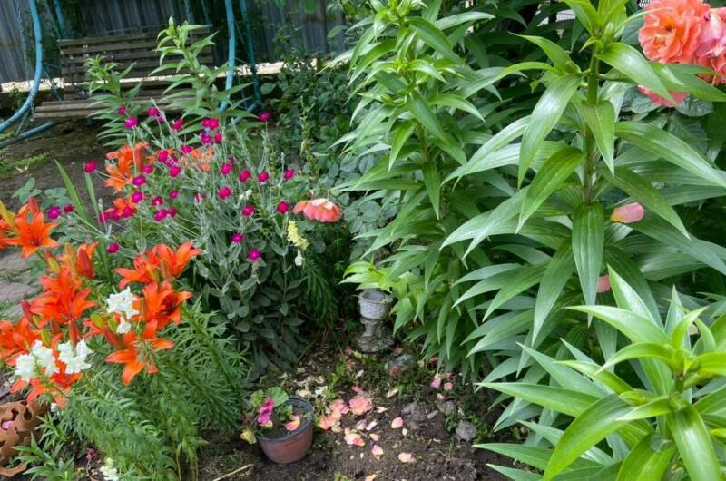 Изображение Изображение гостиницы "Гостевой дом «У Лизы»" #2 #2