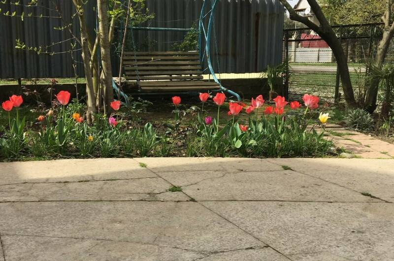 Изображение Изображение гостиницы "Гостевой дом «У Лизы»" #3 #3