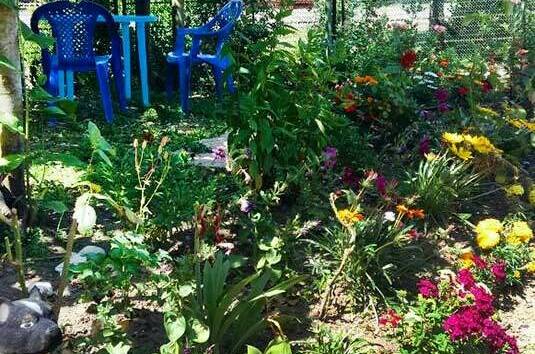 Изображение Изображение гостиницы "Гостевой дом «У Лизы»" #4 #4