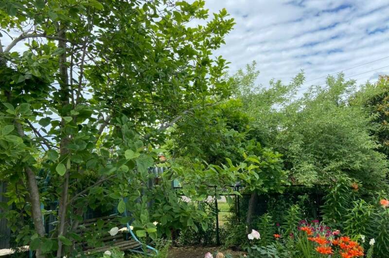 Изображение Изображение гостиницы "Гостевой дом «У Лизы»" #6 #6