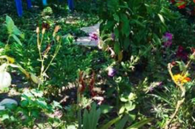 Изображение Изображение гостиницы "Гостевой дом «У Лизы»" #7 #7