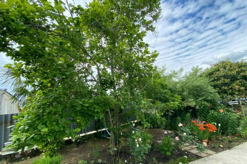 Изображение Изображение отеля / гостиницы "Гостевой дом «У Лизы»" #10 #8