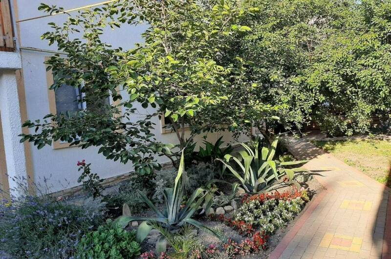 Изображение Изображение гостиницы &quot;Частный сектор «Тонкий мыс»&quot; #4 #4