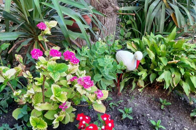 Изображение Изображение гостиницы &quot;Частный сектор «Тонкий мыс»&quot; #8 #8