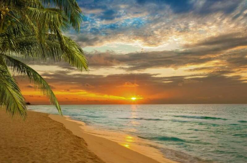 Изображение Изображение квартиры &quot;Квартира-студия&quot; #1 #1