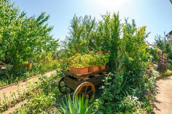Изображение Изображение гостиницы "Гостевой дом «Солнечная Долина»" #2 #2