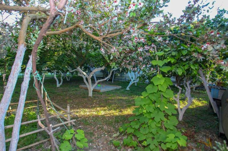 Изображение Изображение отеля / гостиницы "Гостевой дом «У Арама»" #11 #9