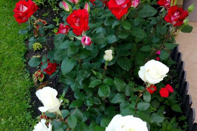 Изображение Изображение гостиницы "Гостевой дом «Анастасия»" #2 #2