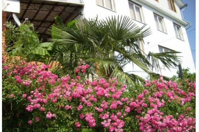 Изображение Изображение гостиницы "Гостевой дом «Эрика»" #2 #2