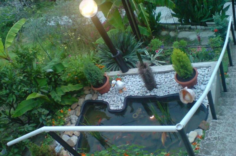 Изображение Изображение гостиницы "Гостевой дом «Эрика»" #6 #6