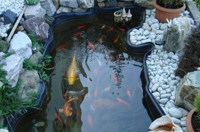 Изображение Изображение отеля / гостиницы "Гостевой дом «Эрика»" #10 #8