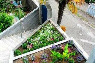 Изображение Изображение гостиницы "Частный дом «У Артёма и Сусанны»" #3 #3