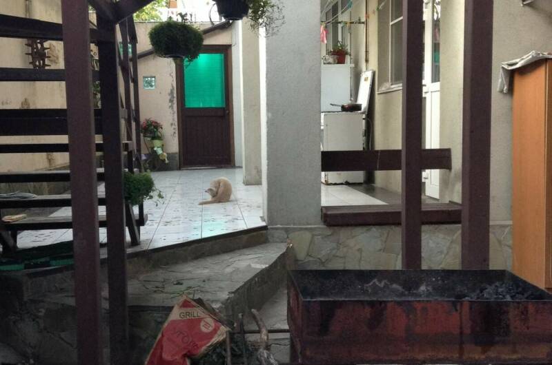 Изображение Изображение квартиры "Дом под ключ «Едем к нам»" #5 #5