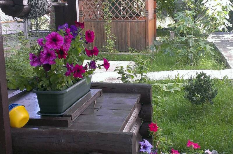 Изображение Изображение отеля / гостиницы "Гостевой дом «Черноморская 3»" #10 #8