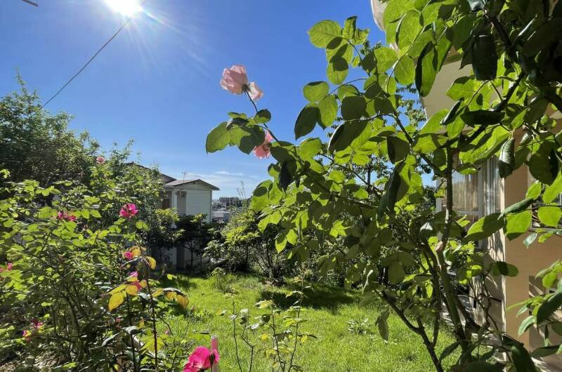 Изображение Изображение гостиницы "Гостевой дом «Анаида»" #1 #1