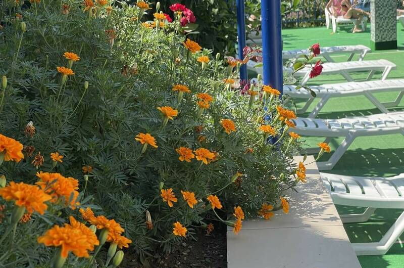 Изображение Изображение гостиницы "Гостевой дом «Анаида»" #3 #3