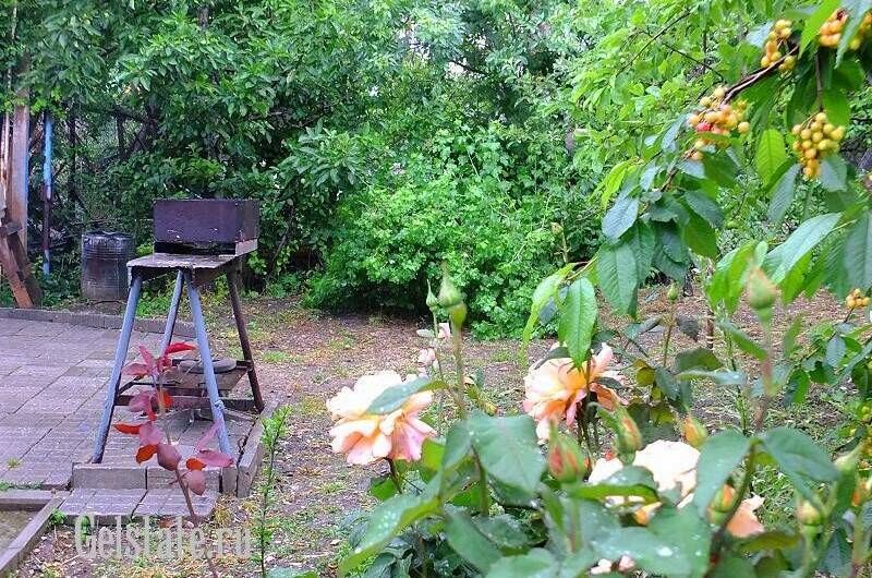 Изображение Изображение гостиницы &quot;Частные домики «у Маргариты»&quot; #8 #8