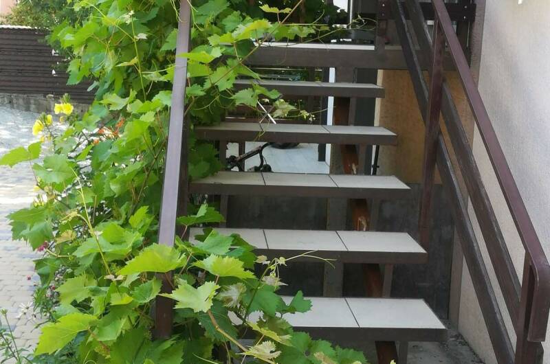 Изображение Изображение квартиры / апартамента "Дом на Тонком мысе" #11 #9