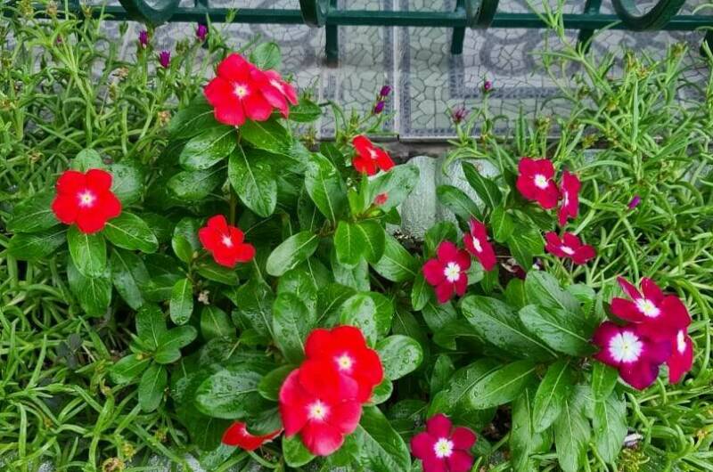 Изображение Изображение гостиницы &quot;Вилла «Ольга»&quot; #5 #5