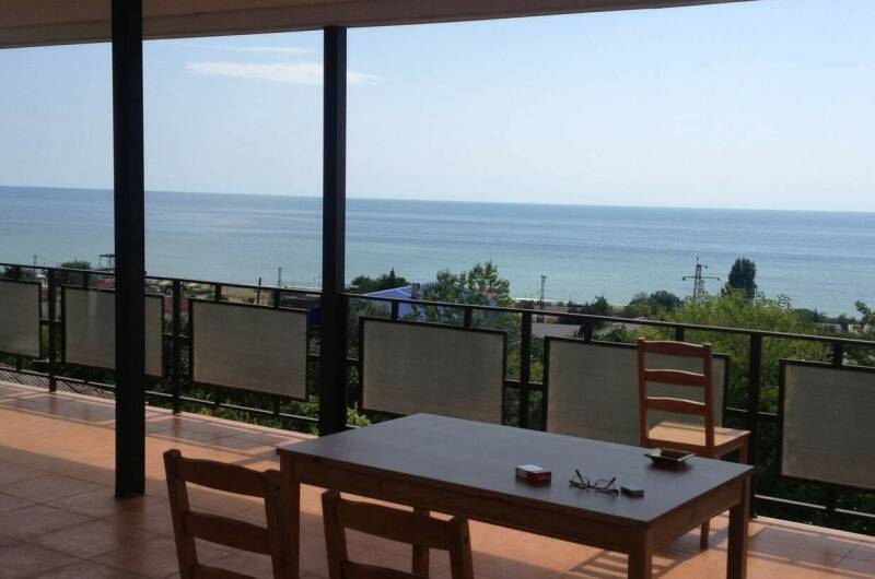 Изображение Изображение гостиницы "Гостевой дом «Пальмира»" #1 #1