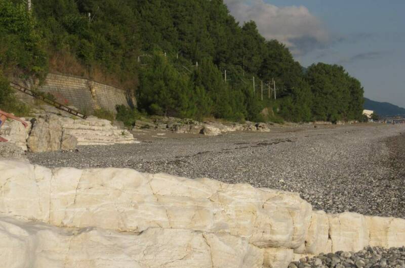 Изображение Изображение гостиницы "Гостевой дом «Пальмира»" #6 #6