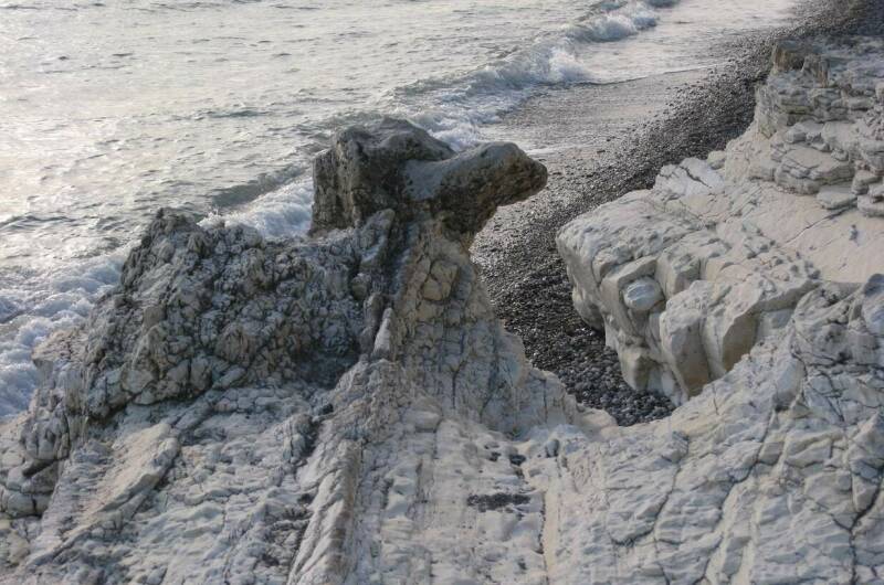 Изображение Изображение гостиницы "Гостевой дом «Пальмира»" #7 #7