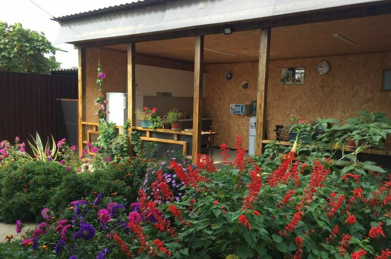 Изображение Изображение отеля / гостиницы "Гостевой дом «Пальмира»" #11 #9