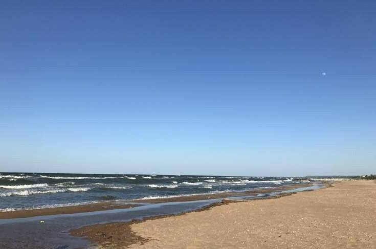 Изображение Изображение отеля / гостиницы "Гостевой дом «Ореховый рай»" #10 #8