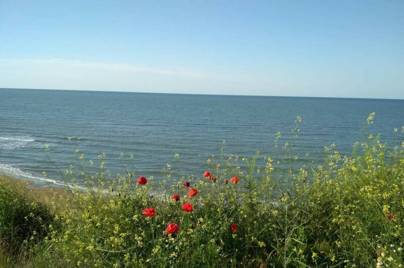 Изображение Изображение отеля / гостиницы "Гостевой дом «Ореховый рай»" #11 #9