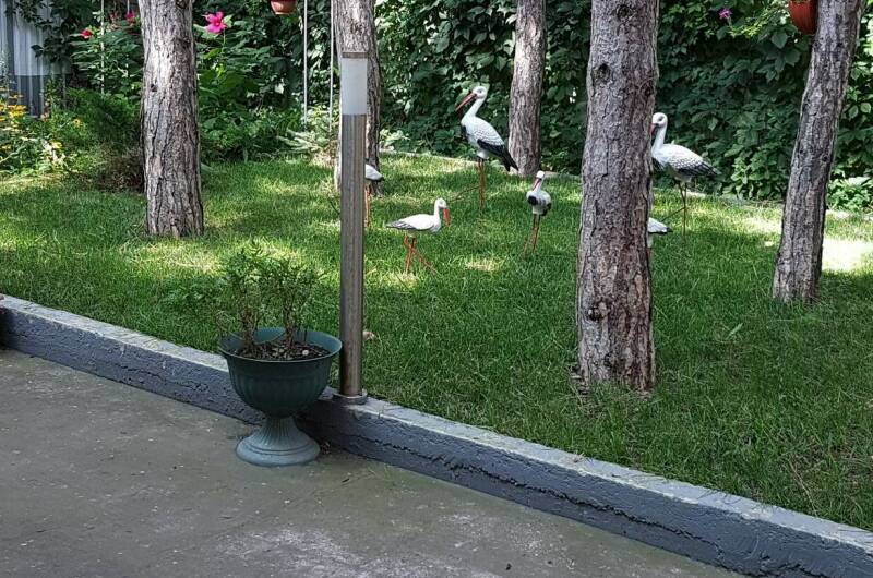 Изображение Изображение гостиницы &quot;Гостевой дом «Артур»&quot; #4 #4