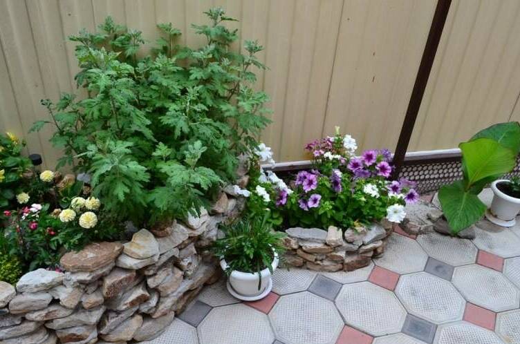 Изображение Изображение гостиницы &quot;Гостевой дом «Вера»&quot; #4 #4