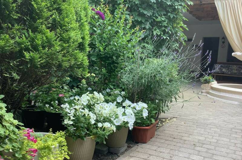 Изображение Изображение гостиницы "Гостевой дом «Гранат»" #1 #1