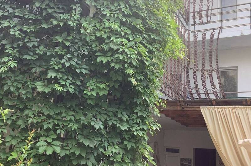 Изображение Изображение гостиницы "Гостевой дом «Гранат»" #8 #8