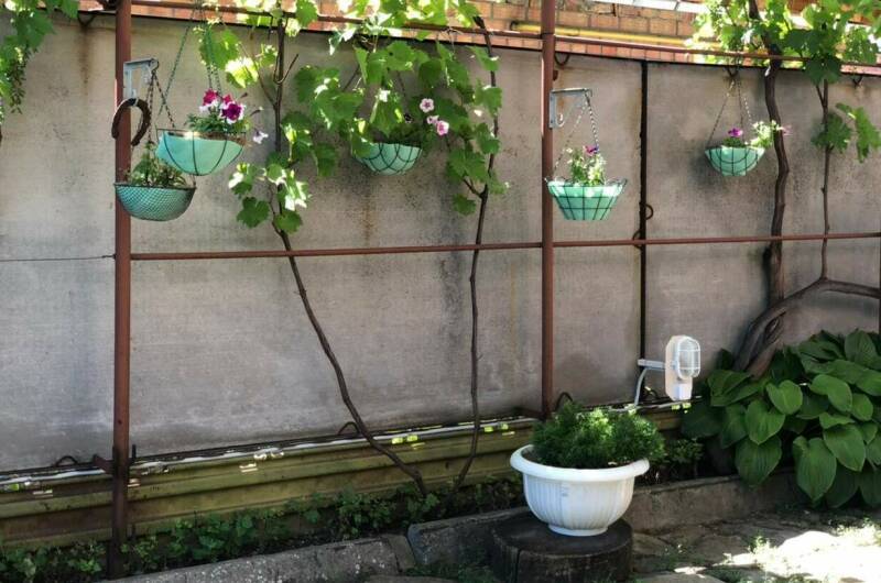 Изображение Изображение гостиницы &quot;Гостевой дом «Отдых у Ильича»&quot; #5 #5