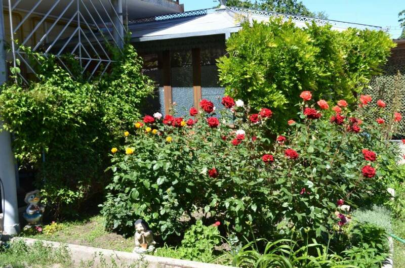 Изображение Изображение гостиницы &quot;Гостевой дом «Отдых у Ильича»&quot; #7 #7