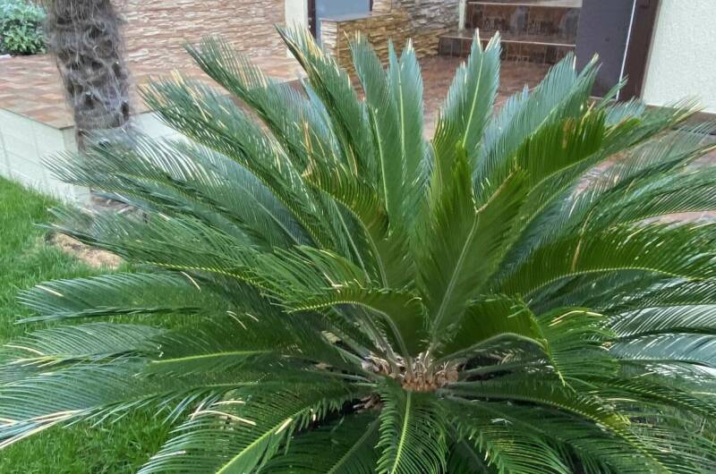 Изображение Изображение гостиницы "Гостевой дом «Анна» с апартаментами" #2 #2